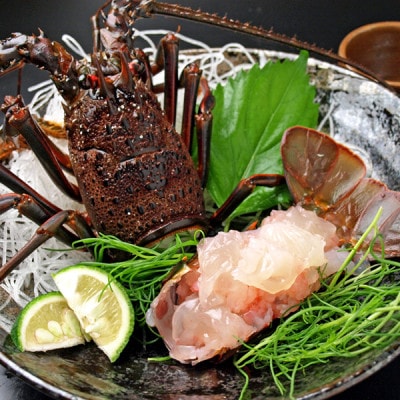 活〆冷凍伊勢海老600g