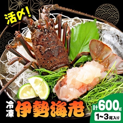 活〆冷凍伊勢海老600g
