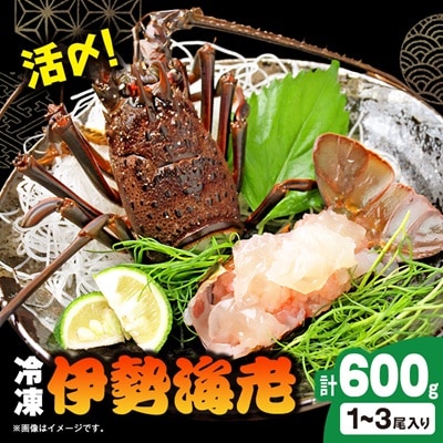 活〆冷凍伊勢海老600g