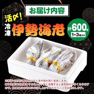 活〆冷凍伊勢海老600g