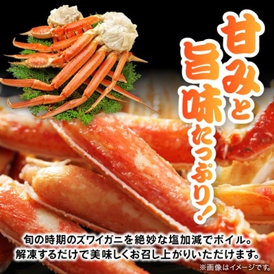 訳アリボイル本ズワイガニ肩 1.3kg