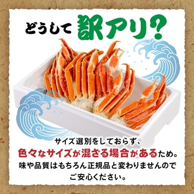 訳アリボイル本ズワイガニ肩 1.3kg