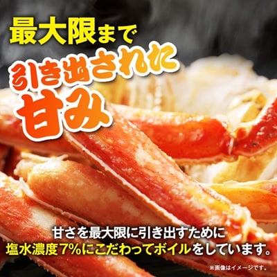 訳アリボイル本ズワイガニ肩 1.3kg