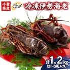 活〆冷凍伊勢海老 1.2kg