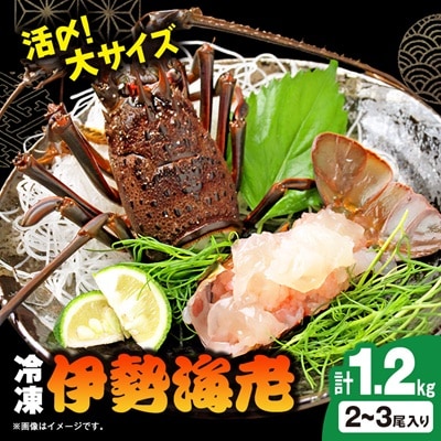 活〆冷凍伊勢海老 1.2kg