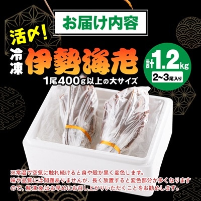 活〆冷凍伊勢海老 1.2kg