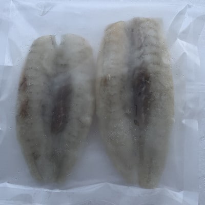 【訳アリ】真フグ一夜干し約500g
