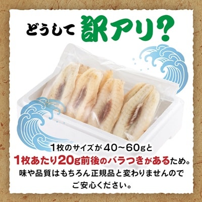 【訳アリ】真フグ一夜干し約500g