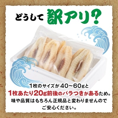 【訳アリ】真フグ一夜干し約500g