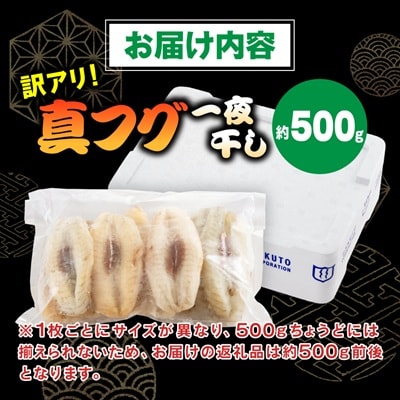 【訳アリ】真フグ一夜干し約500g