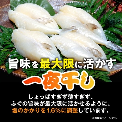 【訳アリ】真フグ一夜干し約500g