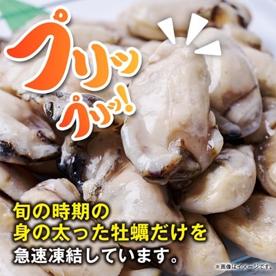 訳アリ冷凍むき身カキ1kg