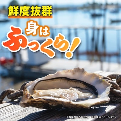 訳アリ冷凍むき身カキ1kg