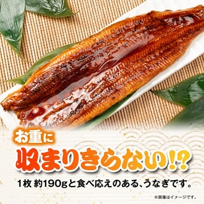 うなぎ長蒲焼約760g(約190g×4)
