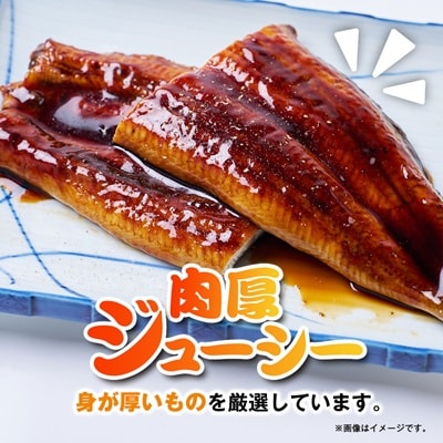 うなぎ長蒲焼約760g(約190g×4)