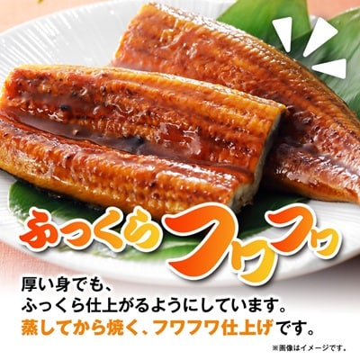 うなぎ長蒲焼約760g(約190g×4)