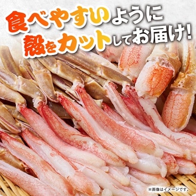 生本ズワイガニしゃぶしゃぶセット1.3kg