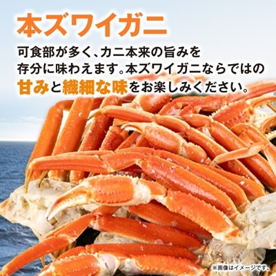 生本ズワイガニしゃぶしゃぶセット2.6kg