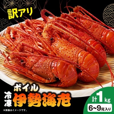 訳アリボイル伊勢海老1kg(約6-9尾入り)