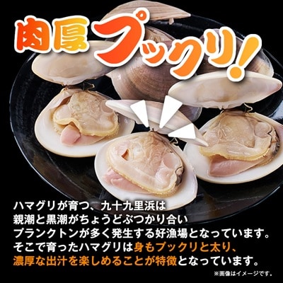冷凍ボイルハマグリ1kg(12-20粒入り)