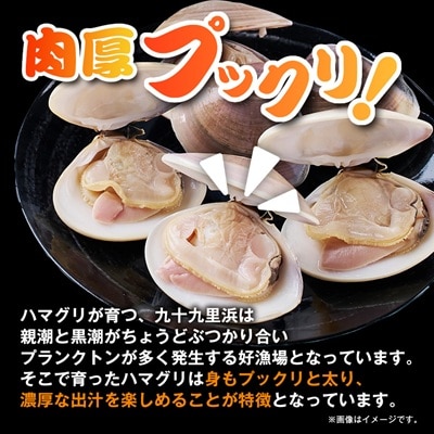 冷凍ボイルハマグリ2kg(24-40粒入り)