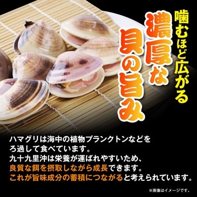 冷凍ボイルハマグリ2kg(24-40粒入り)