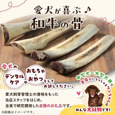 【犬のおやつ】和牛の骨(中～大型犬用) 4本