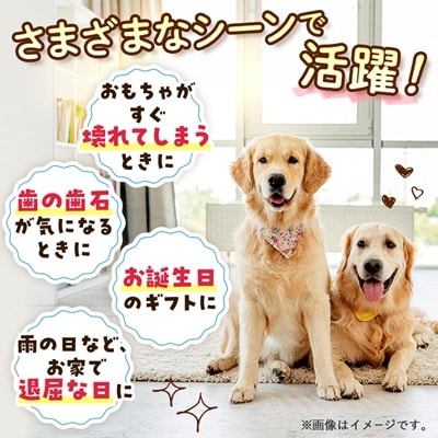 【犬のおやつ】和牛の骨(中～大型犬用) 4本