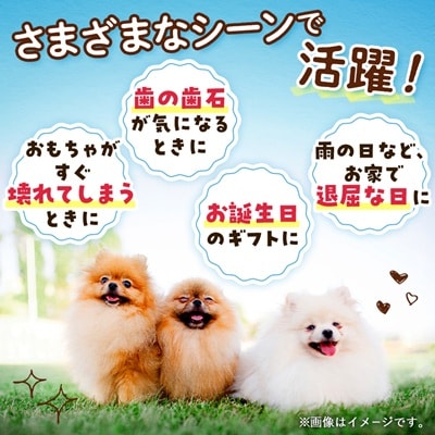 【犬のおやつ】和牛の骨(小型犬用) 5本