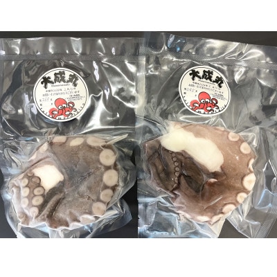 【太東・大原産マダコ】茹で&生セット(合わせて400g以上)