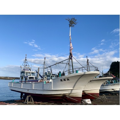 【太東・大原産マダコ】茹で&生セット(合わせて400g以上)