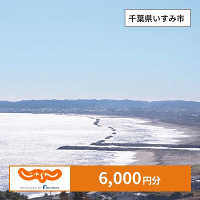 【じゃらんふるさと納税クーポン】 千葉県いすみ市でつかえる6,000円 クーポン