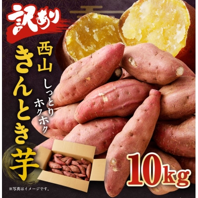 【12月お届け】【訳あり】西山きんとき芋(さつまいも)　10kg　新芋