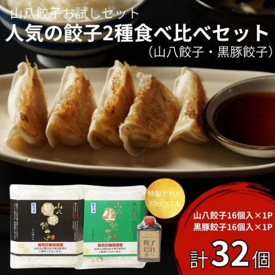 【山八】人気の餃子2種食べ比べセット(山八餃子・黒豚餃子)【特製たれ付】計32個[H4429]