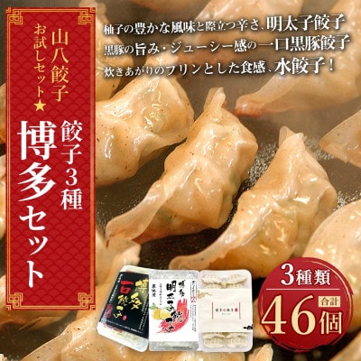 【山八】餃子3種博多セット(博多明太子餃子・博多一口黒豚餃子・博多水餃子)計46個[H4430]
