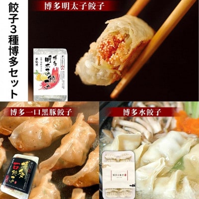 【山八】餃子3種博多セット(博多明太子餃子・博多一口黒豚餃子・博多水餃子)計46個[H4430]