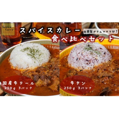 【本格スパイス】国産牛テールのスパイスカレーと牛タンのスパイスカレー食べ比べセット[F4470s]