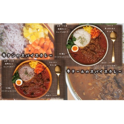 【本格スパイス】国産牛テールのスパイスカレーと牛タンのスパイスカレー食べ比べセット[F4470s]