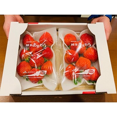 「博多あまおう」270g×4パック