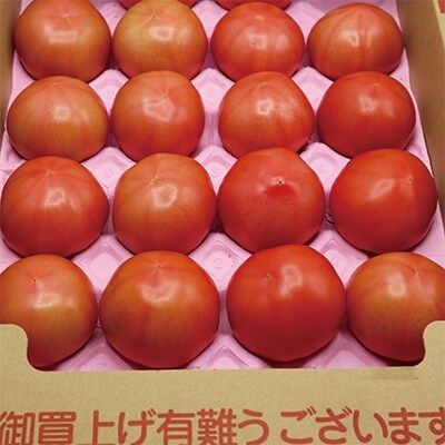 【2024年12月～2025年6月出荷】JAむなかたトマト部会直送桃太郎トマト4kg[F4189s]