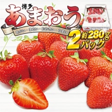 博多あまおう2パック『2024年1月中旬より順次発送』[E2242a]