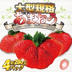 大玉規格3玉～5玉　博多あまおう4パック　『2024年1月より順次』約1120g[E2244]