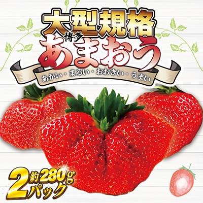 『2026年2月より順次発送』★大玉規格★博多あまおう2パック　約560g[G2224s]