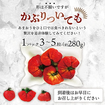 『2026年2月より順次発送』★大玉規格★博多あまおう2パック　約560g[G2224s]