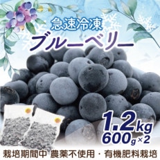 急速冷凍ブルーベリー1.2kg[E4005]