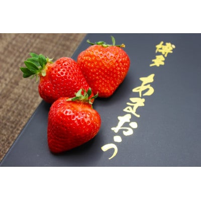 『2024年12月発送』博多あまおう化粧箱450g×1箱[F2247s]