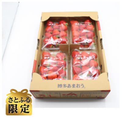 【さとふる限定】博多あまおう(2L~L)4パック 約1120g 『2023年1月より順次発送』