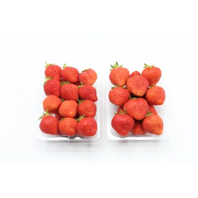 【さとふる限定】博多あまおう(2L~L)4パック 約1120g 『2023年1月より順次発送』