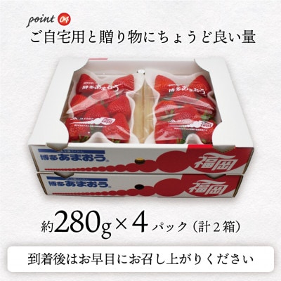 『2025年12月発送』博多あまおう4パック[G2261s]