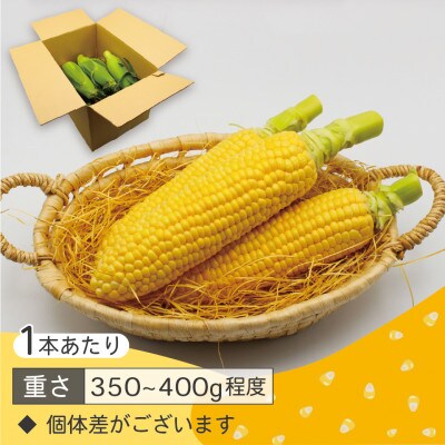 【2024年6～7月出荷】朝どれ!スーパースウィートコーン10本[F2283]